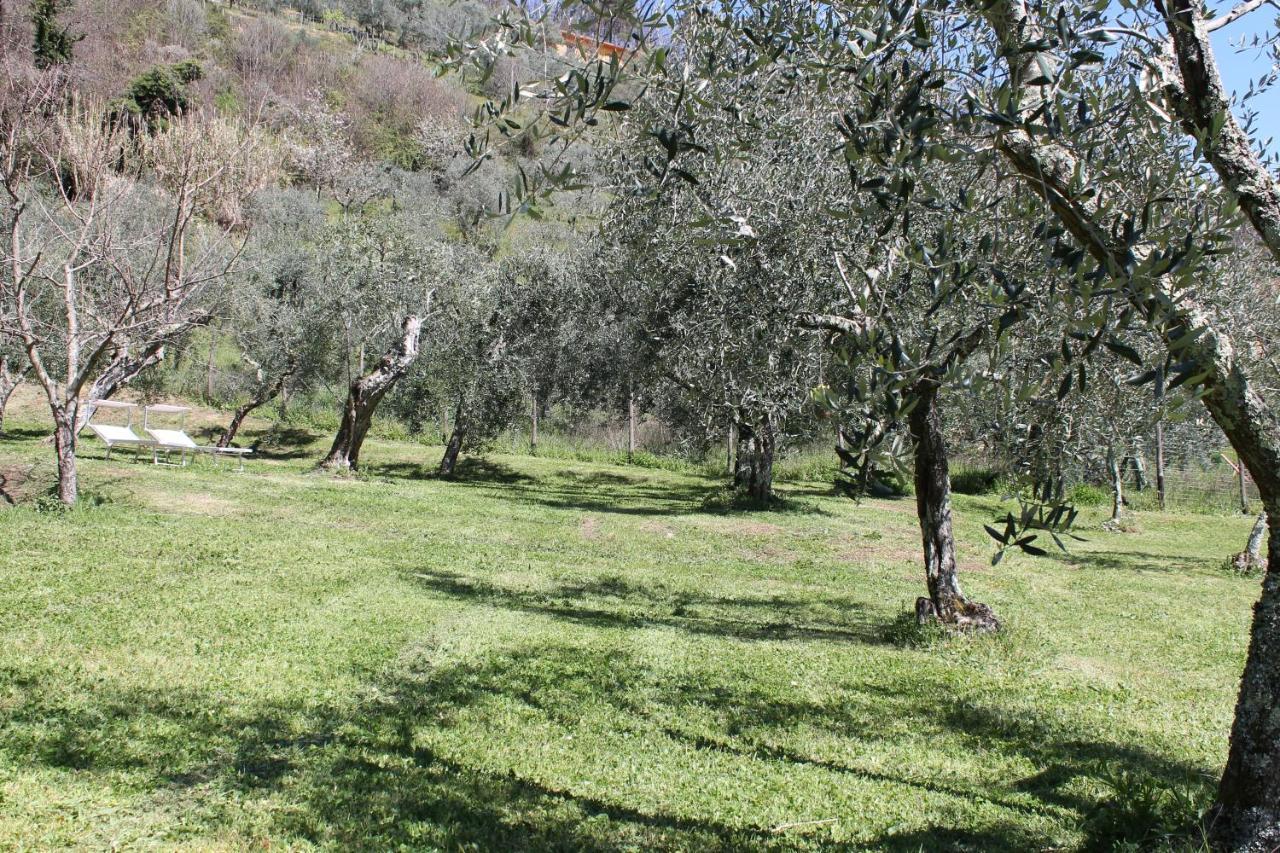 Shaleo Holiday Home Marliana Extérieur photo